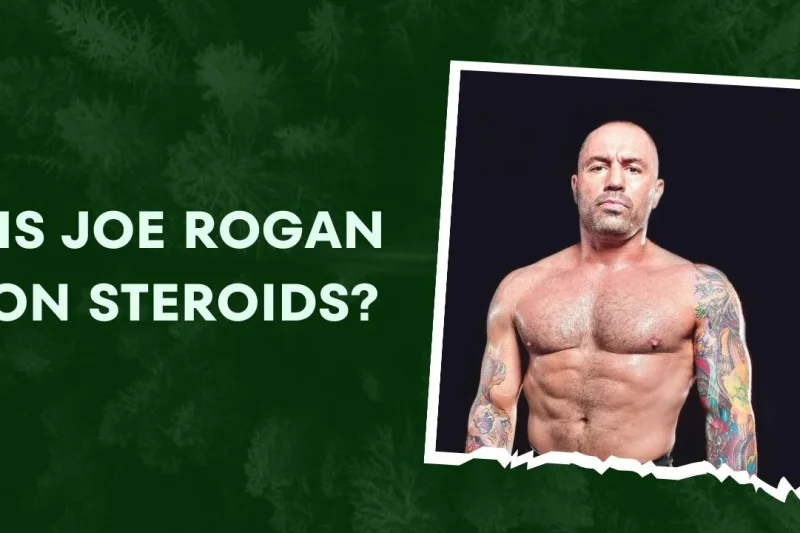Joe Rogan Folosește Steroizi? Transformarea lui Joe Rogan